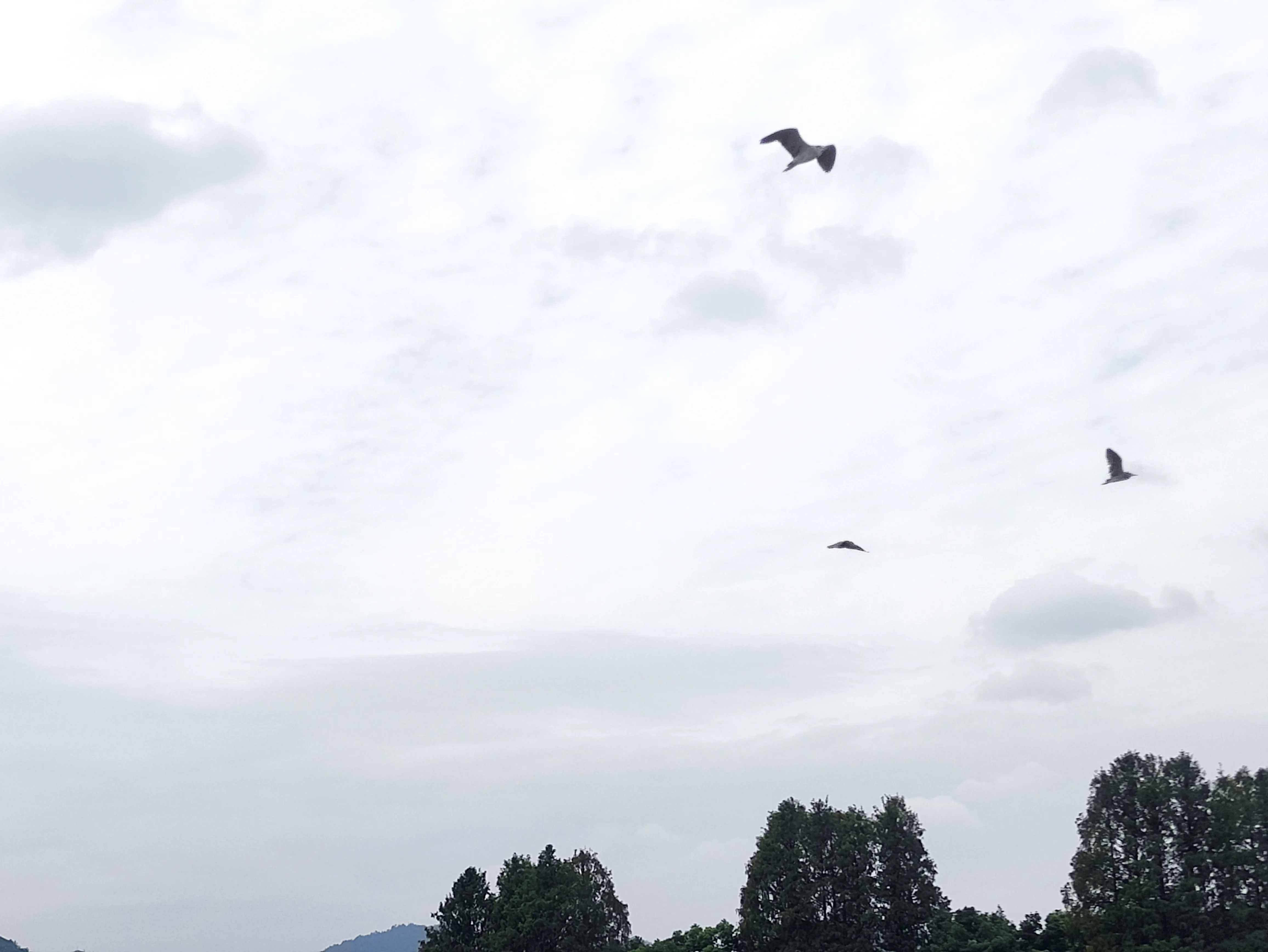 Cover Image of the Post